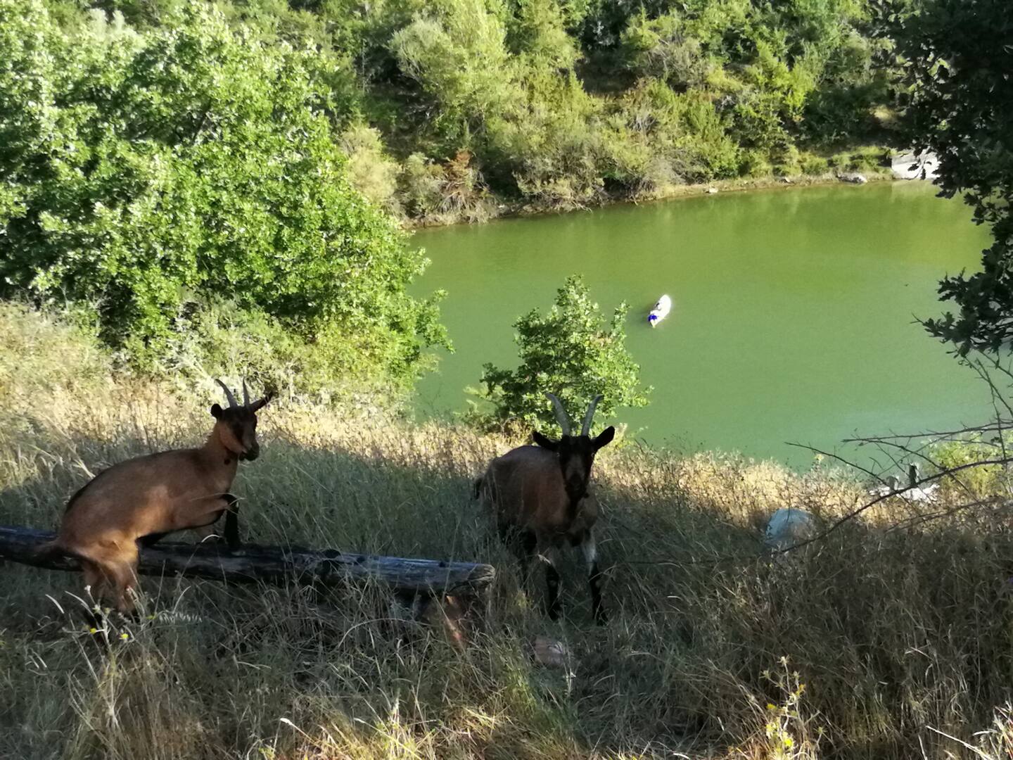 Natura del Podere Tegline