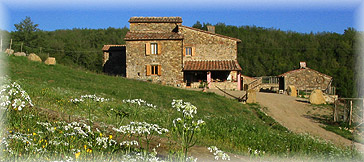 Casa Colonica di Tegline