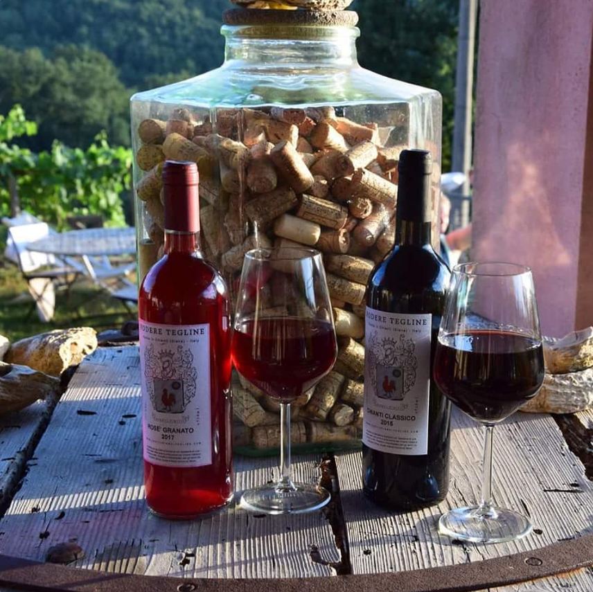 Degustazione dei vini biologici di Podere Tegline: Chianti Classico e Rosé